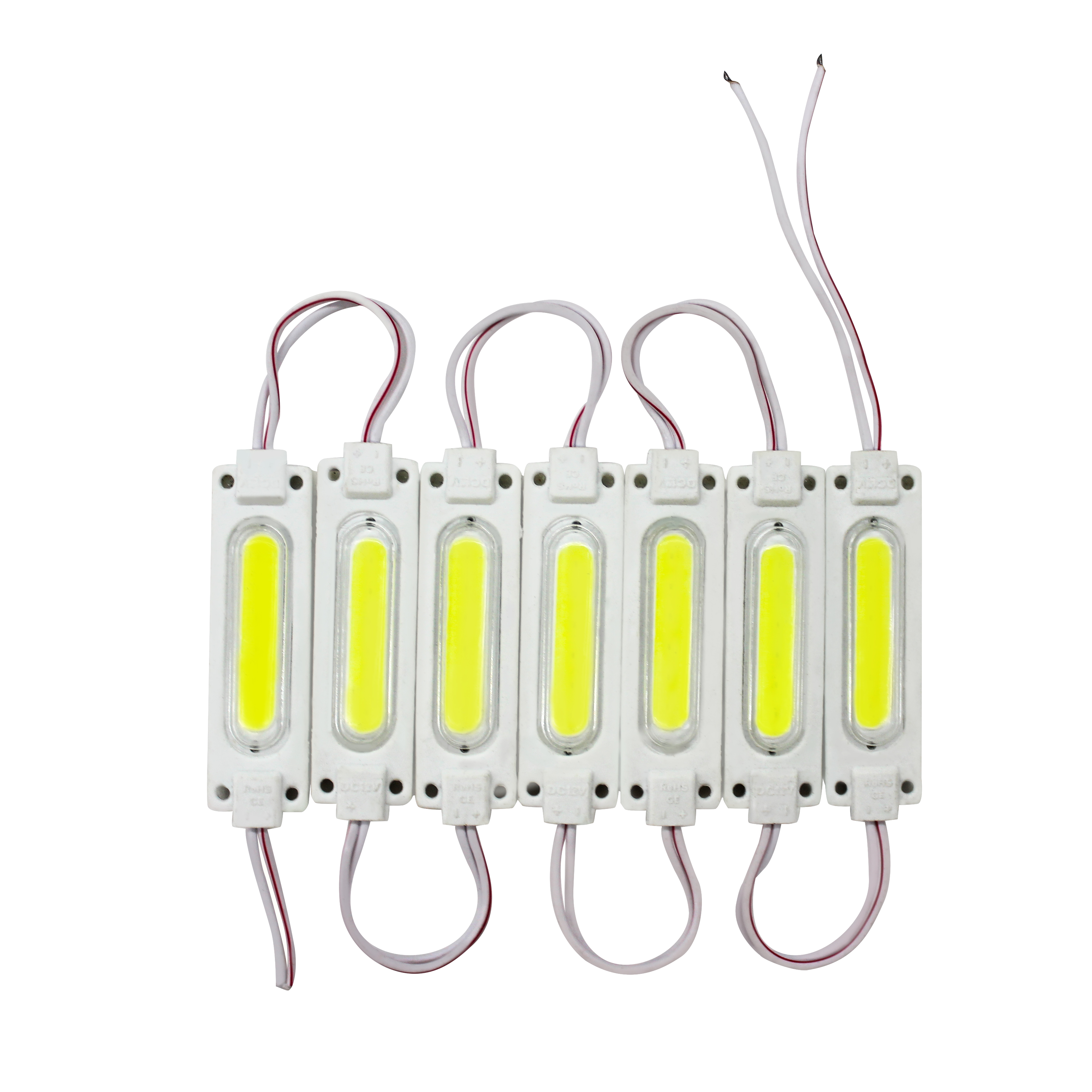 Waterproof IP67 high quality COB DC12V 2W PVC inject led module