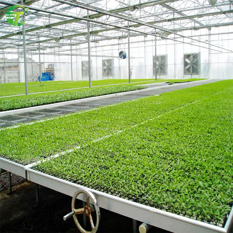Greenhouse Table Greenhouse 4x8 Flood Rolling Bench Ebb And Flow Table With Hydroponic Growing Tray