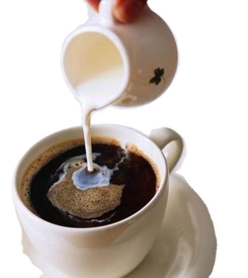 Non Dairy Coffee Creamer Fat Protein Manufactory and Gold Supplier