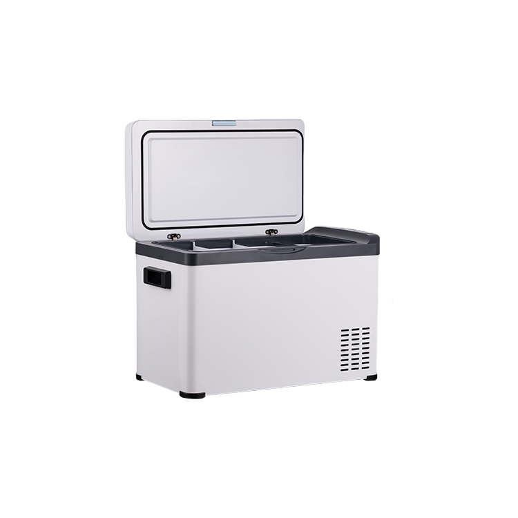 DC 12 V/24V мини холодильник Открытый Кемпинг портативный компрессор автомобильный морозильник автомобильные холодильники