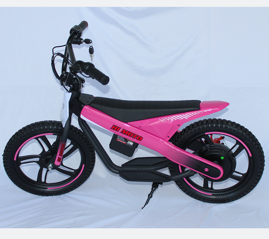 300w 24v 6ah battery electric fat tire bike other electric bike citycoco electric scooter for adults electric bike 1000w