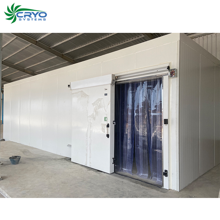 potato product commercial blast freezer mini cold storage for beef air blast freezer
