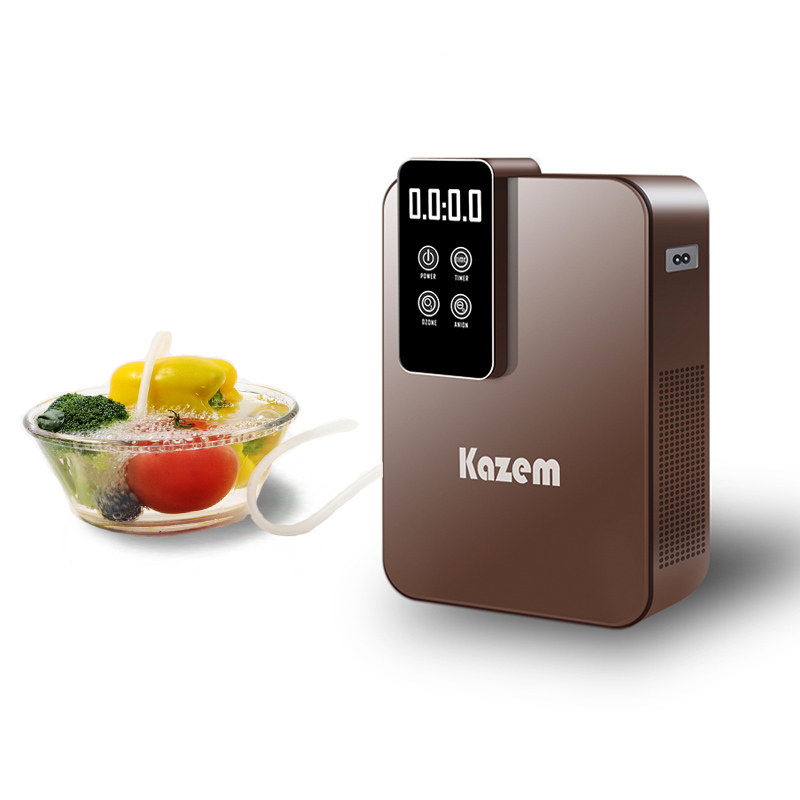 Electric Ozone O3 Generator Water Treatment Ozone Mahine Therapy Equipment Ozonizer