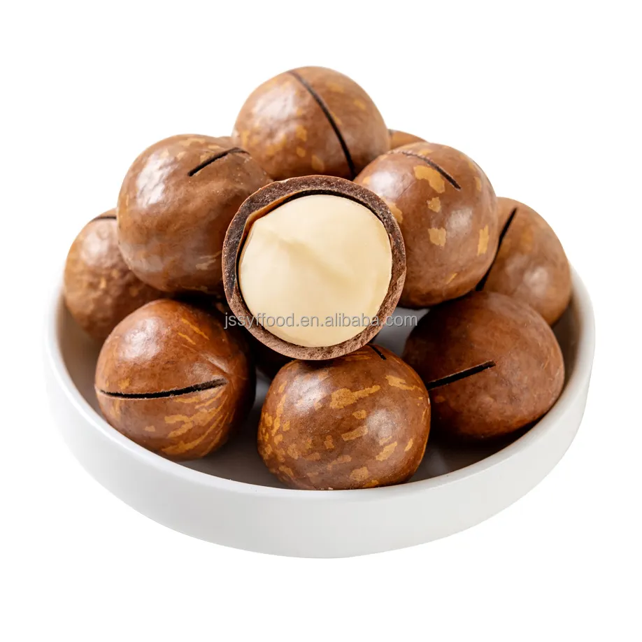 Wholesale organic healthy snacks Roasted bulk macadamia nuts in shell