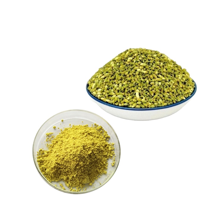2021 Newly Supply Sophora Japonica Extract quercetin powder UV 98% HPLC 95%