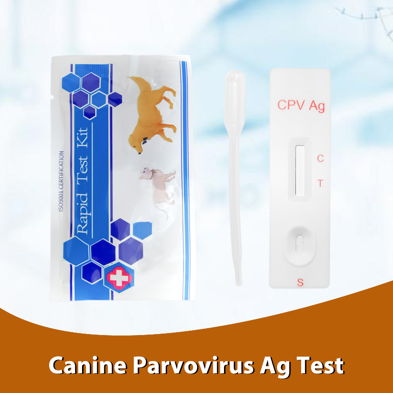 Оптовая продажа, ветеринарный Медицинский Домашний Тест на животных, Canine parvoвирус, тест на CPV Ag, быстрый тест-комплект для собак