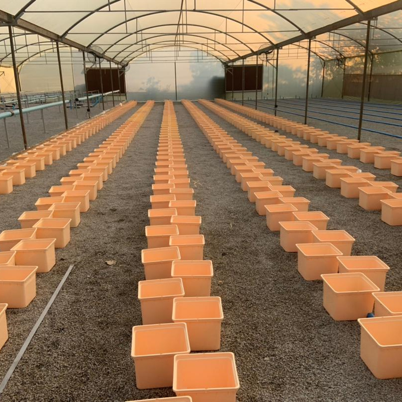 Agricultural Greenhouse Hydroponics Fertilizer Saving Dutch Bucket Bato nft channel Pipe Aquaponics Farming Growing System
