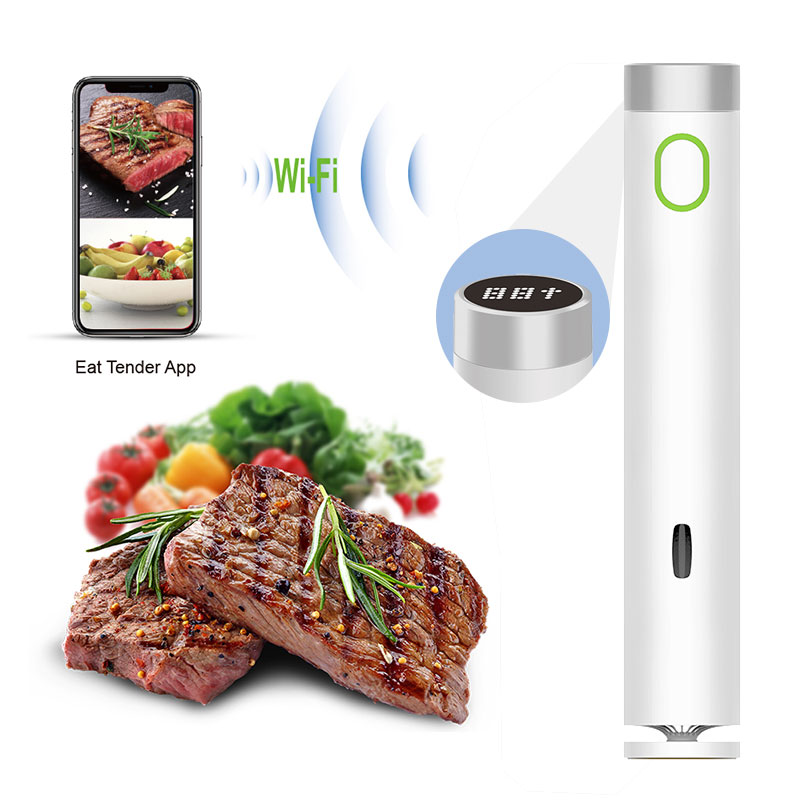 Digital Slow Cooker Vacuum Cooker Accu Slim Sous Vide Immersion Circulator