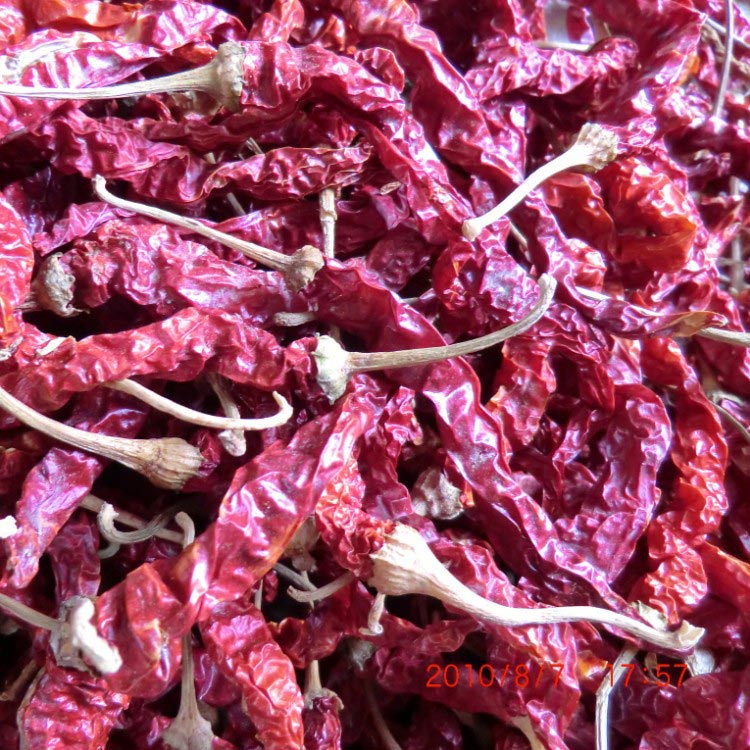 Hot Selling hot spicy export dried red chilli