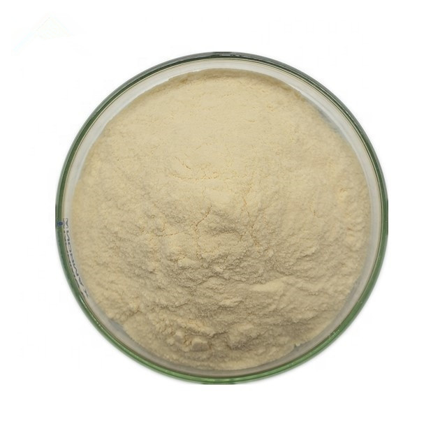 High Grade Nutrition Supplement Omega 3 Fish Oil DHA Algae Powder In Bulk