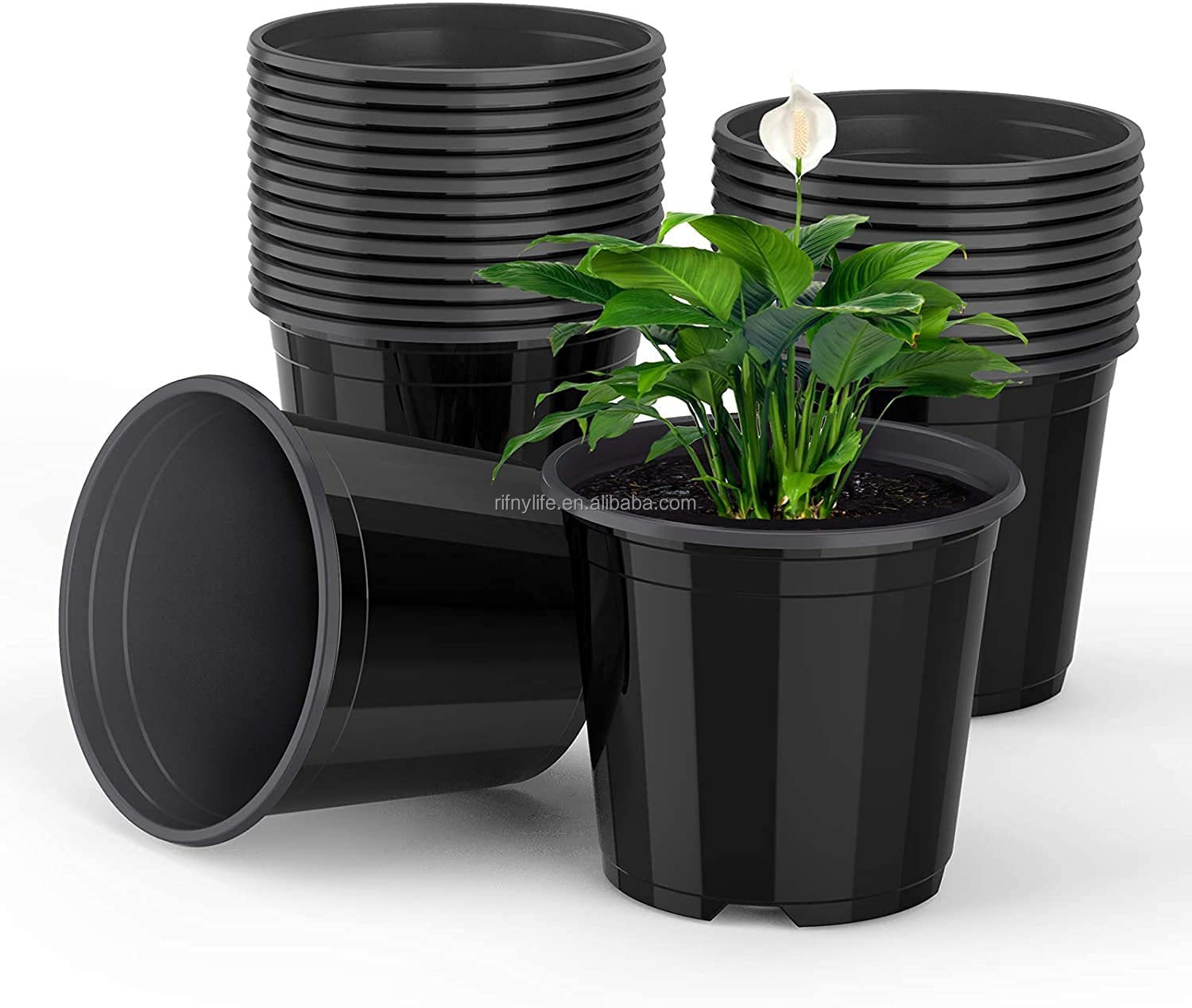 6 inch nursery pots,black plastic nursery pots containers trays gro pro premium nursery pot (6inch/15cm dia)