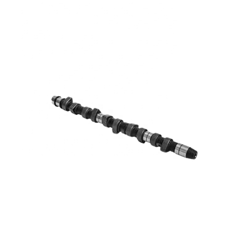 Engine parts AAB for VW Transporter 2400 Dizel (AAB-AJA) camshaft 074.109.101B