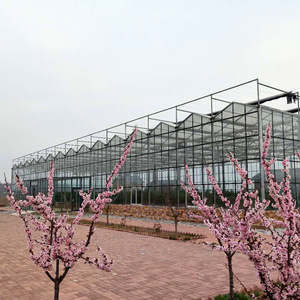 Customized long life&good transparency glass greenhouse with hydroponic growing system