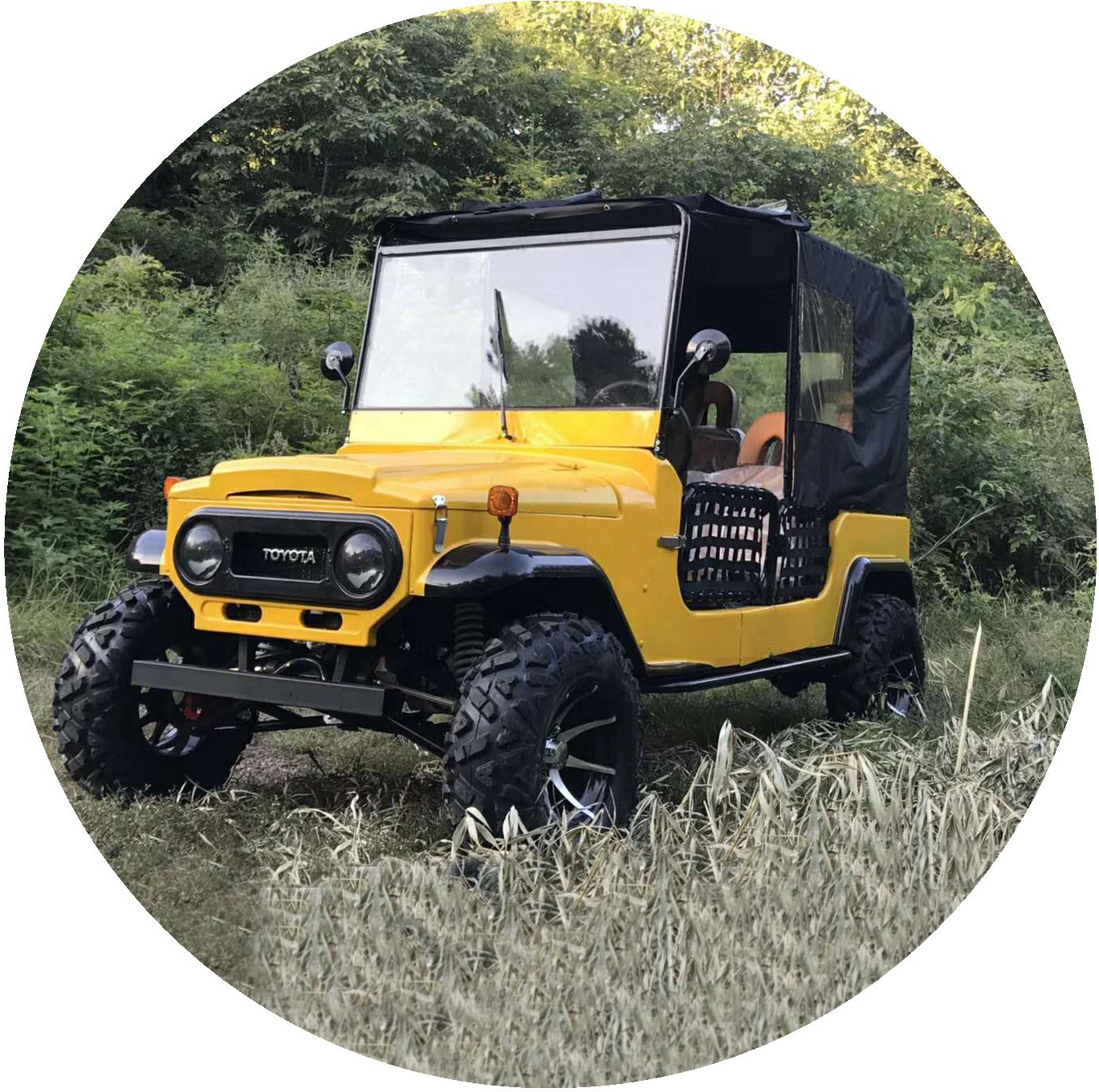 3000W5000W electric four wheeler sightseeing car golf cart