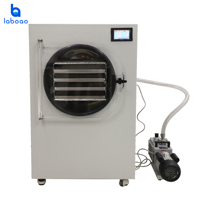Small Food Vacuum Freeze Dryer Machine Dehydrator For Sale
