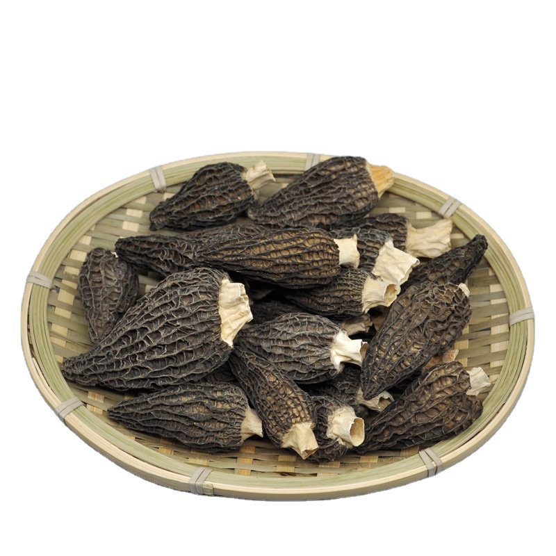 Cultivated Morel Dried Morchella Conica Dried Morel