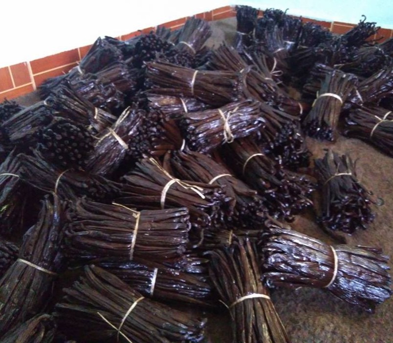 High quality Madagascar vanilla beans with reasonable price and fast delivery