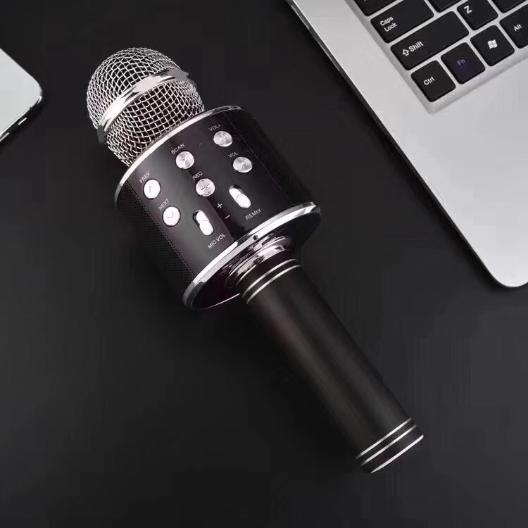 Factory Wholesale Price Wireless Microphone Handheld Microphones With Speaker Portable Microphone Kids Ws858 Gifts For Children