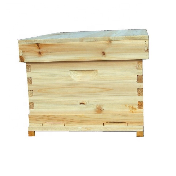 High Quality Spruce Wood Practical Economy Honey Flow Hive Fir for Bee