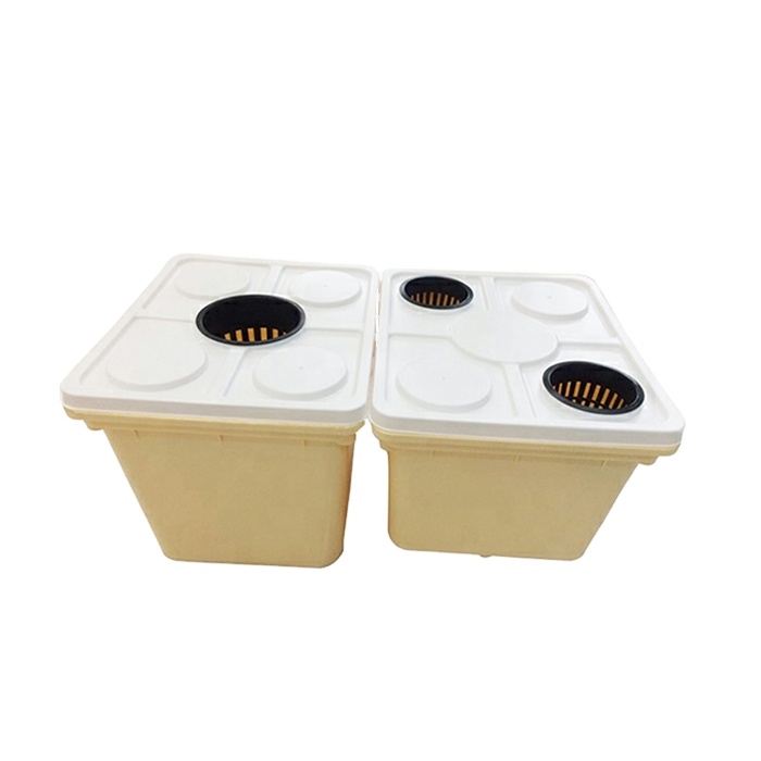 Hydroponic Growing Systems 2024 New Hydroponic Dutch Bucket System for Tomato/vegetable