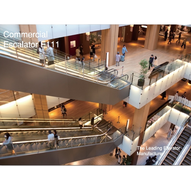 Smooth Running Stable Functioning Cheap Price Escalator