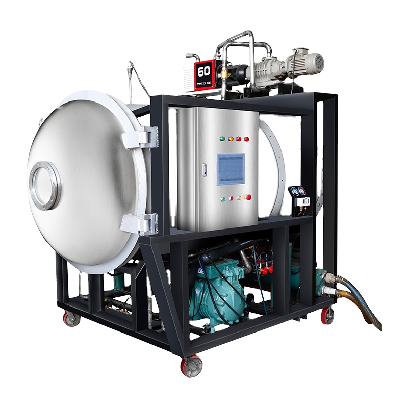 Fruit and vegetable freeze dryer, food vacuum freeze dryer, chicken and pork vacuum freeze drying equipment
