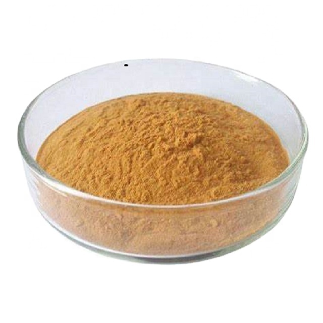 Shiitake Mushroom Extract Powder ahcc powder lentinan extract