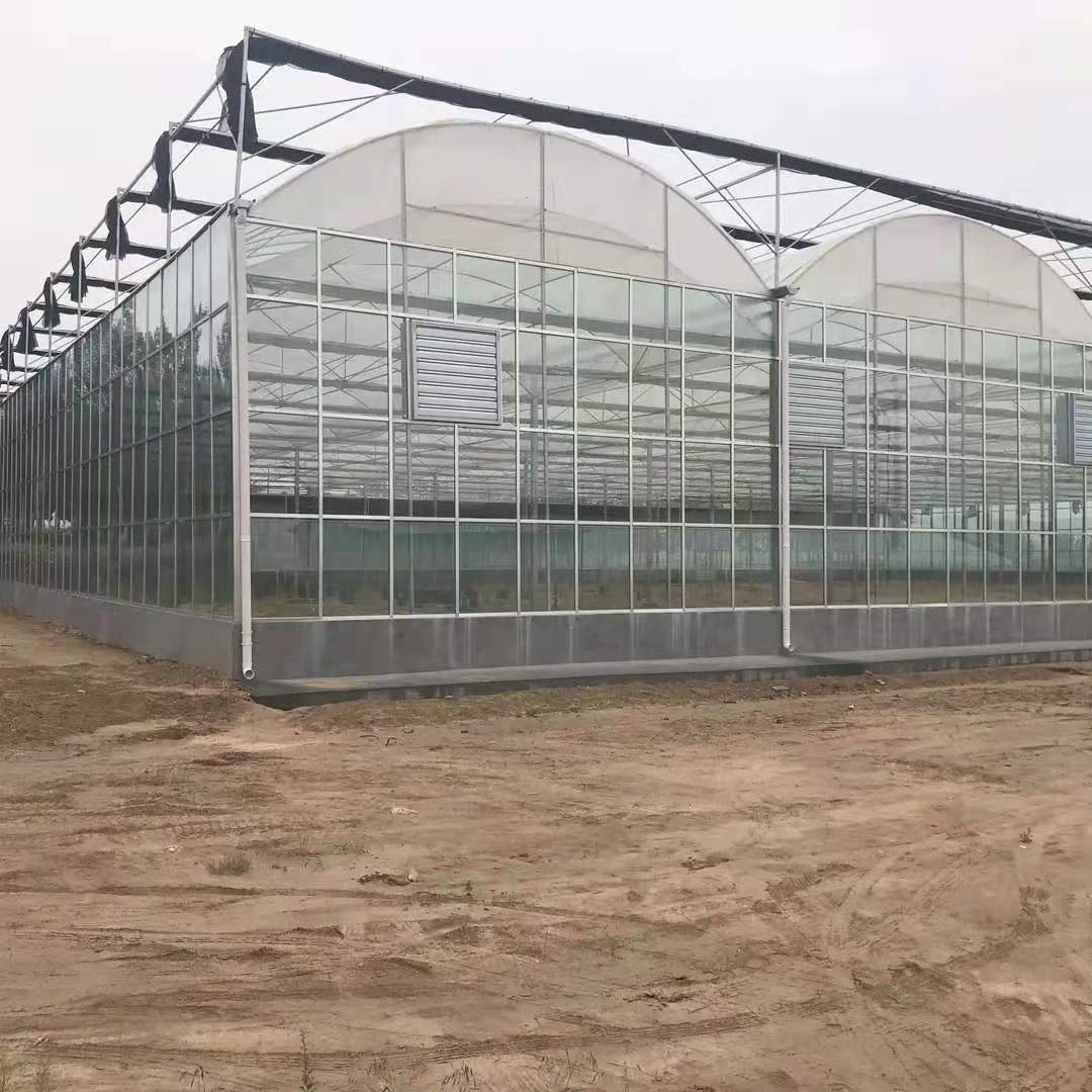 The Cheapest And Easily Installed Multi Span PE Film Agricultural Commercial GreenHouse Hydrophonic