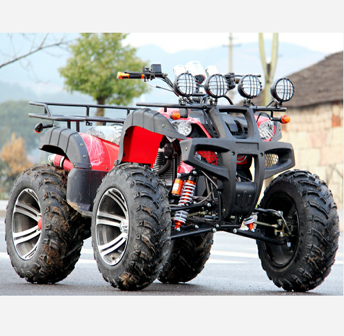 Взрослый газовый квадроцикл 250cc 4x4