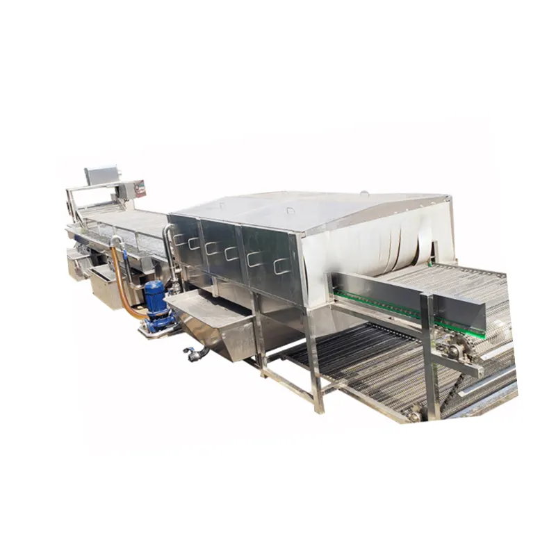 Fresh Vegetable Fruits Cleaning Drying Processing Machinery Dry Dates Washing Machine