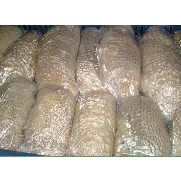 Халяль замороженная говядина tripe оптом