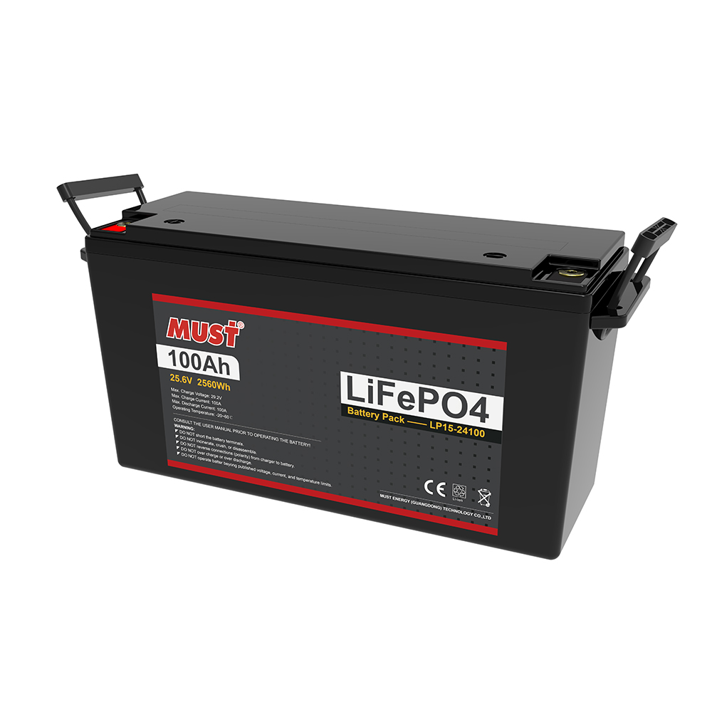 Lifepo4 12v 24V 100ah литий-ионный аккумулятор MS-LFP24100