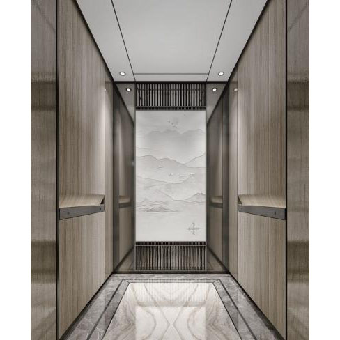 Simple Style Low Noise Passenger Elevator For Apartment