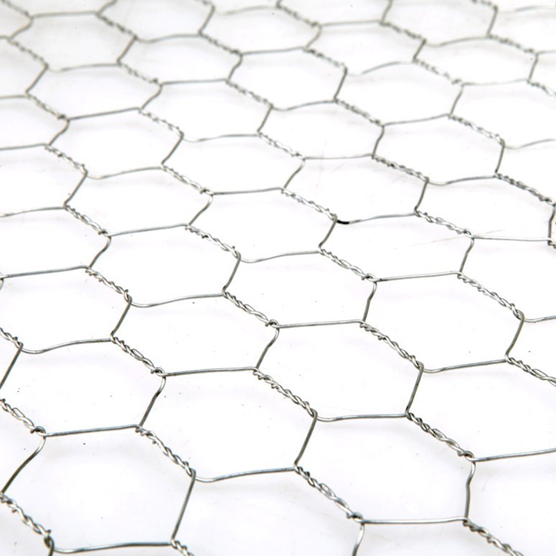 PVC Coated Galvanized Hexagonal Wire Netting Fence Mesh for chicken wire