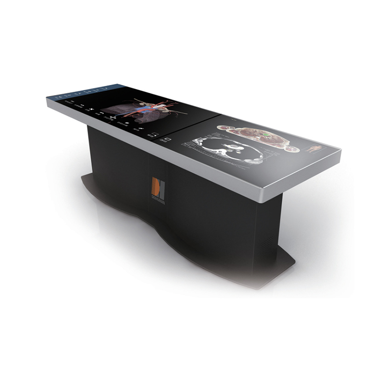 University Digital 3D Human Virtual Anatomy Table
