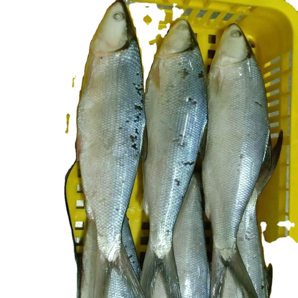 Оптовая продажа, закуска из морских водорослей нори со вкусом