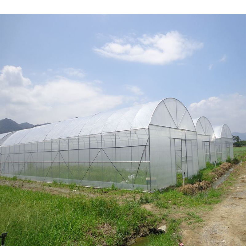 Low Cost 30*100 Poly Film Greenhouse Agricultural Single-Span Greenhouses
