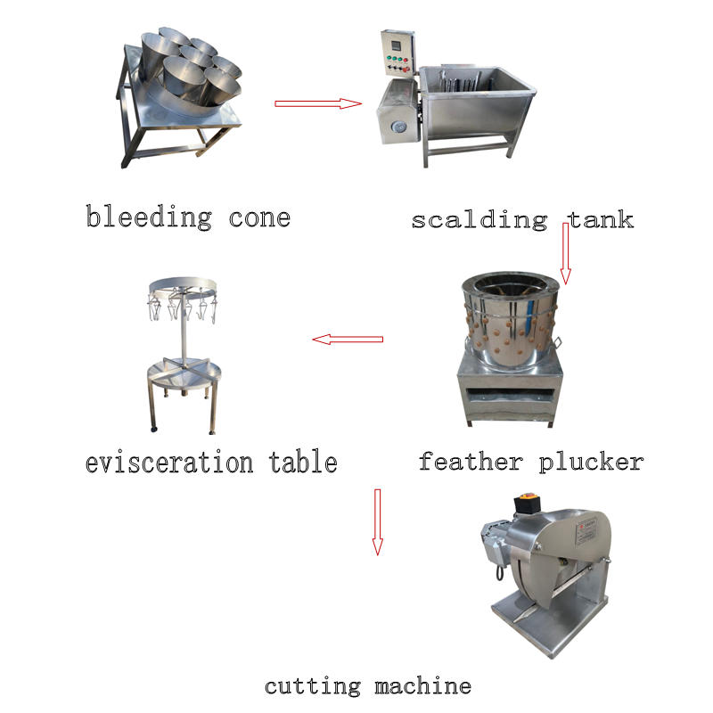 100-300 bph chicken slaughter and processing machine