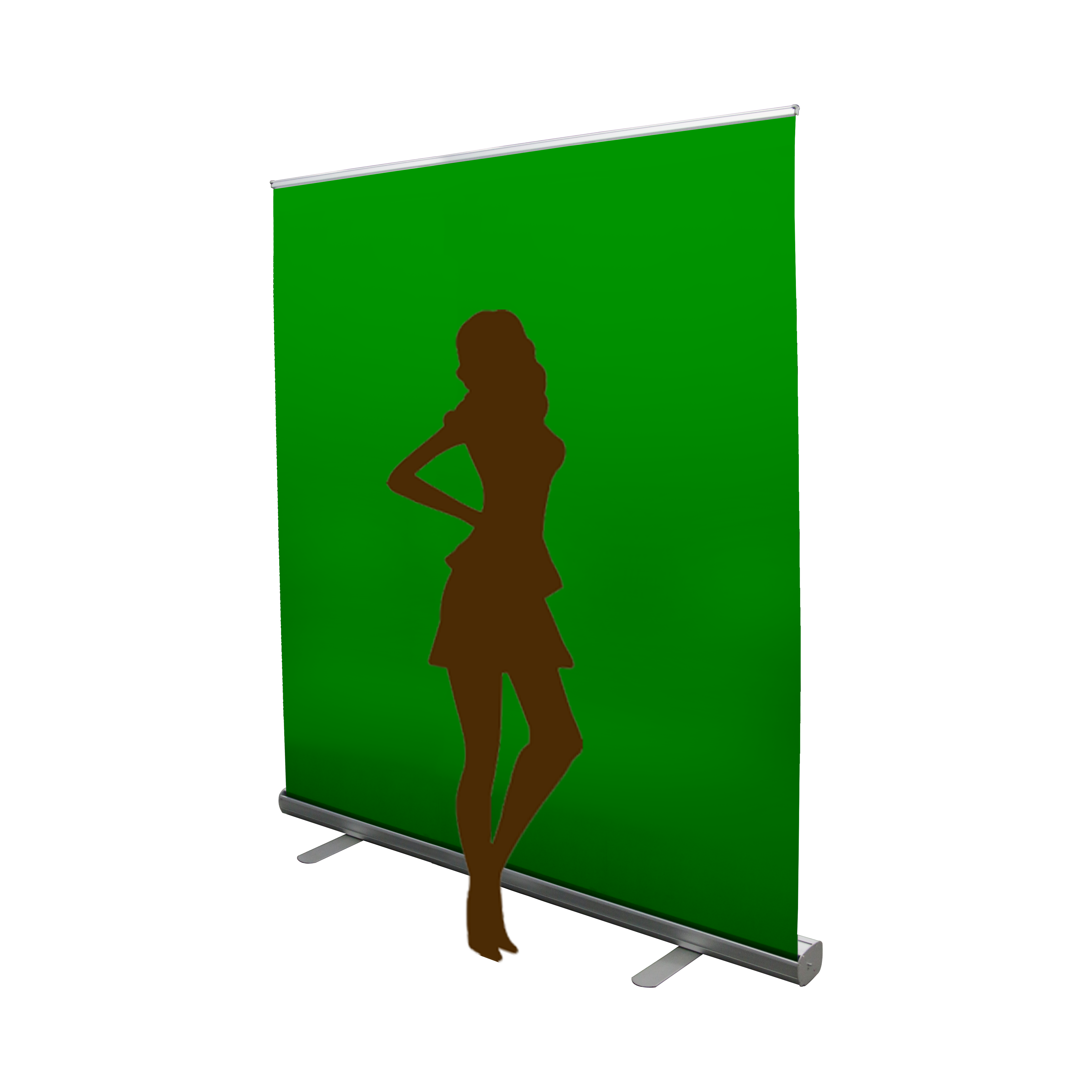 Amazon aluminum roll up stnad green screen kit for live show