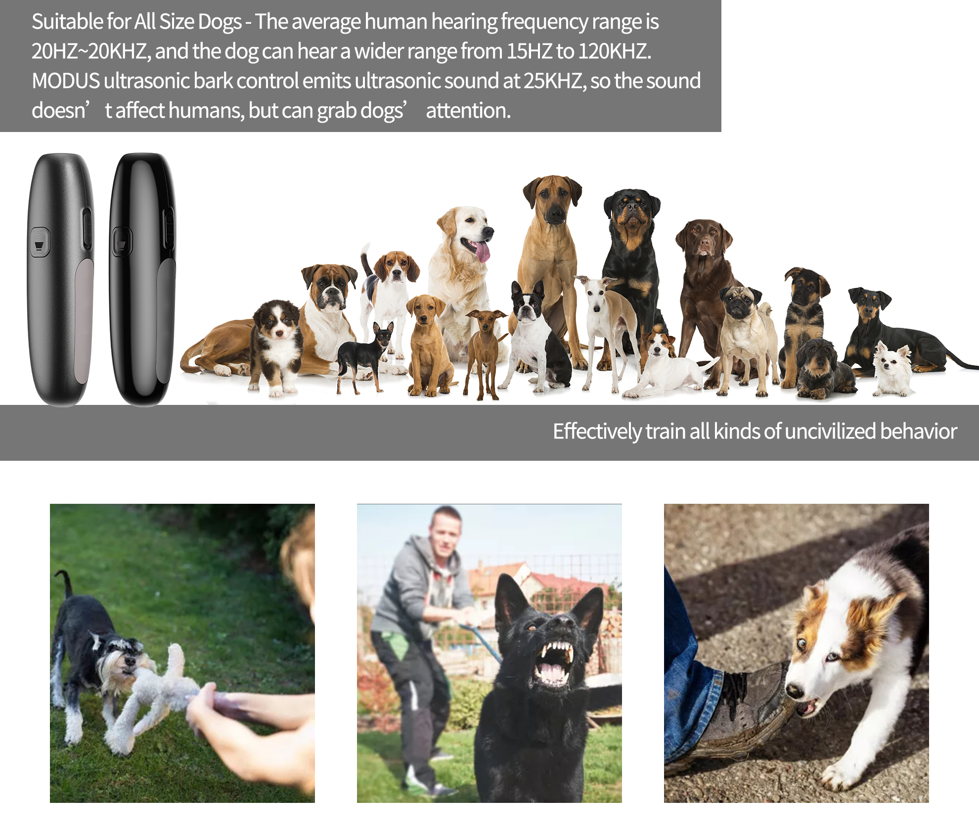 Voice Command Ultrasonic Dog Bark Off Collar Unique Business Ideas