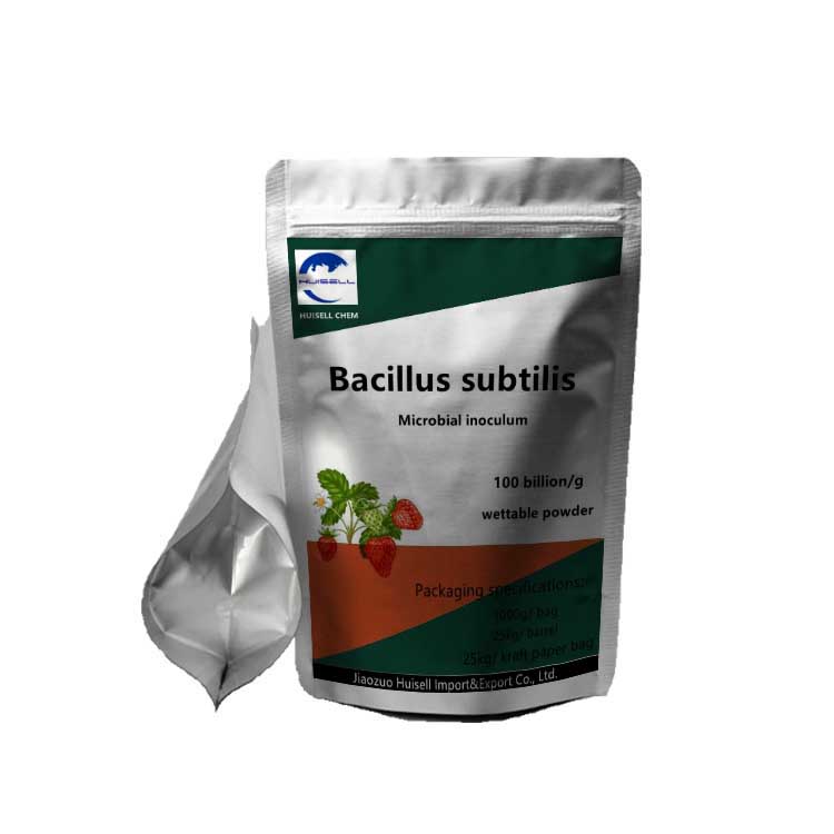 Wholesale Low Price Guaranteed Quality Bacillus Subtilis For Additive