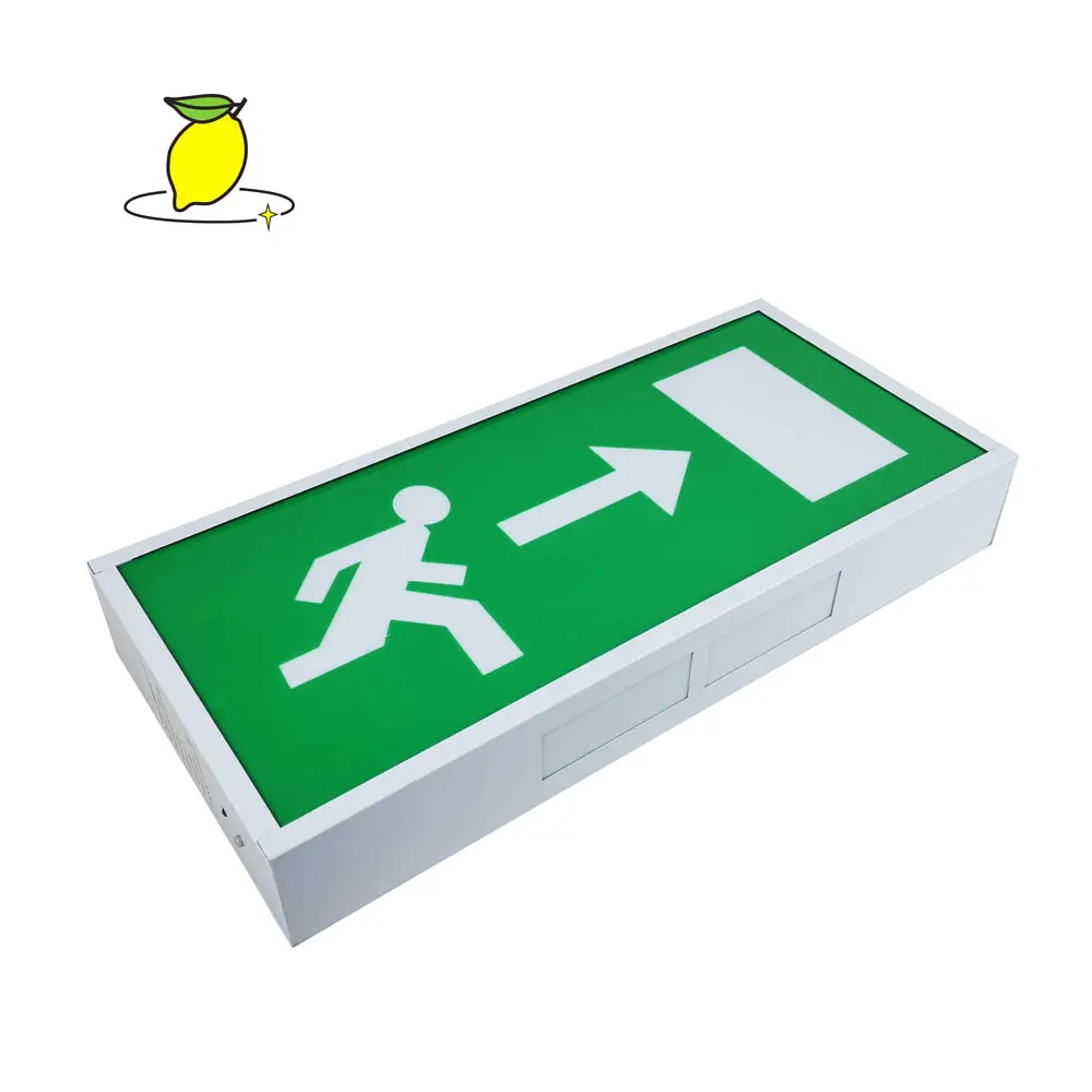 Self-Contained Maintained LED Emergency Fire Exit Sign Light