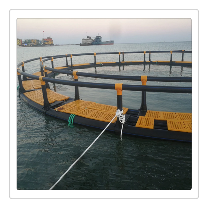 plastic oyster farm netting aquaculture net Square Cage with fish net Square Cage cleaner