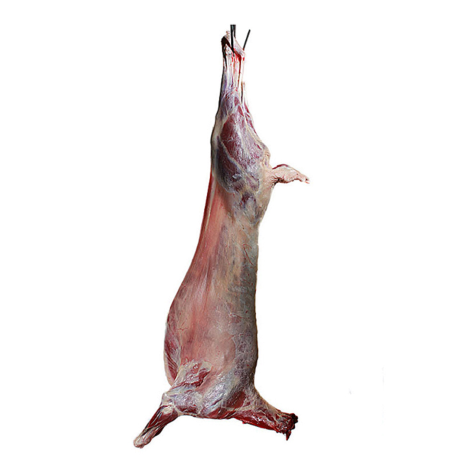Горячая Распродажа, 18-24 кг тонны, замороженный стол, мясо ягненка, баранина, каркас