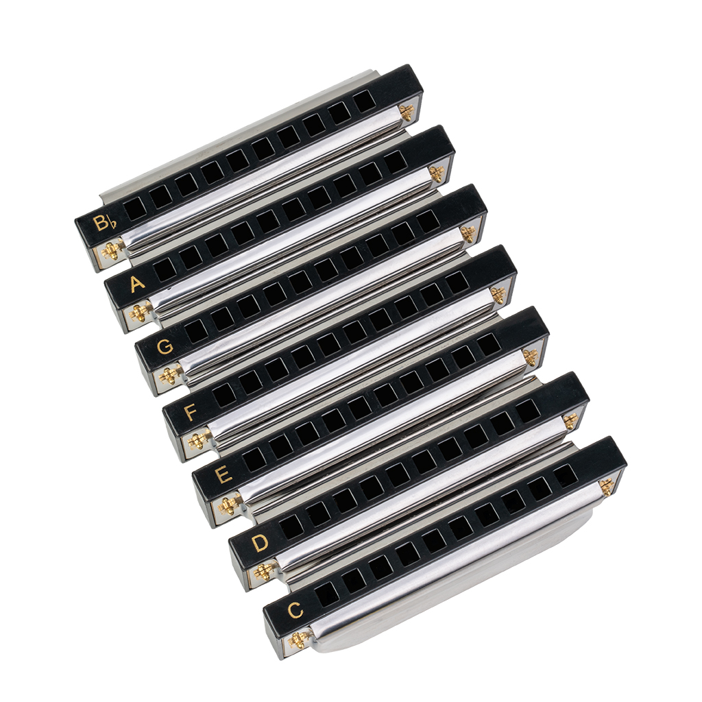 NAOMI Blues Band Harmonica Starter Set W/7 Harp Keys C D E F G A Bb Набор из 7 предметов с чехлом для переноски