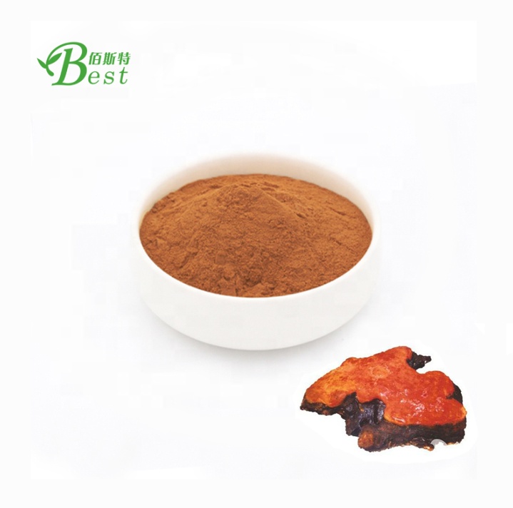 Высококачественный экстракт antrodia camphorata 30%/экстракт грибов antrodia camphora/экстракт antrodia cinnamomea