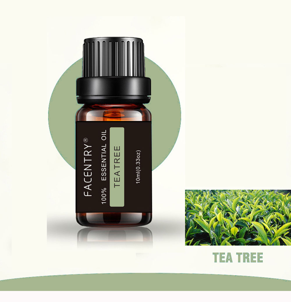 10ml Tea Tree Aromatherapy Essential Oil Outfits Humidifier Aromatherapy Peppermint Massage Bath Oil Relieve Stress
