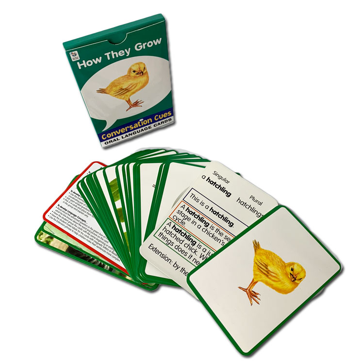 Custom Printing Good Quality Playing Cards Poker Bridge Card Games Educational Flash Cards