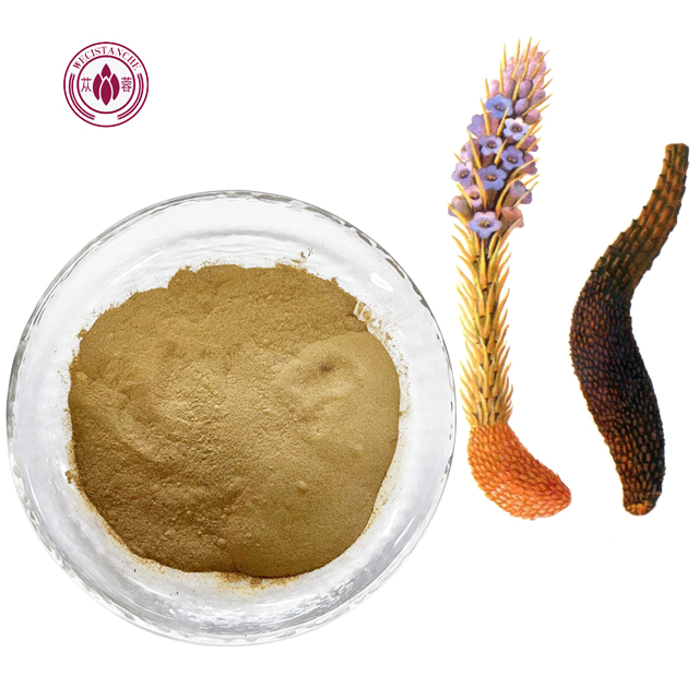 Natural Echinacoside 1%-85% Verbascoside 10%-98% Cistanche Deserticola Extract 5:1 10:1 20:1