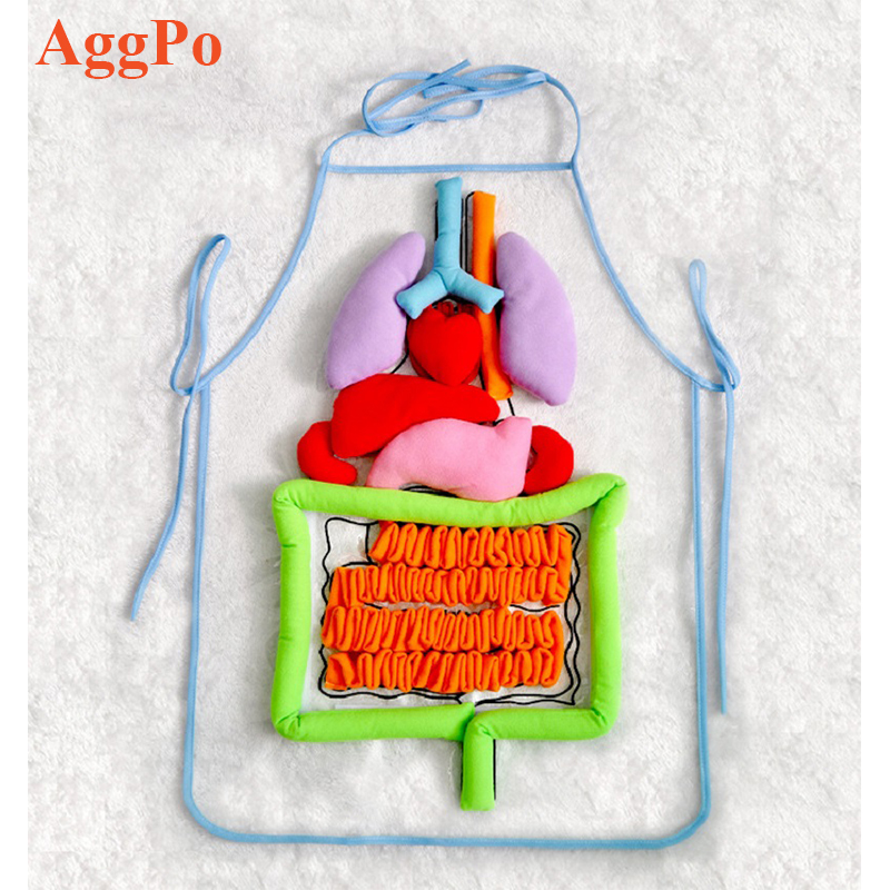 Body Organ Teaching Aid Kids Training Apron Children Early Educational Toy Home Preschool 3D Organ Awareness Apron